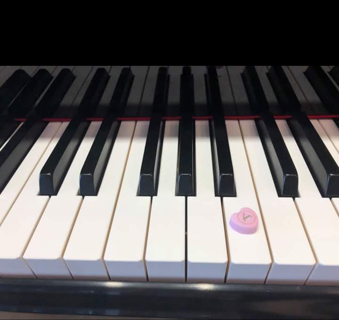 Celebrating Somerset’s Creative & Cultural Practitioners - Caroline Wallis-Newport