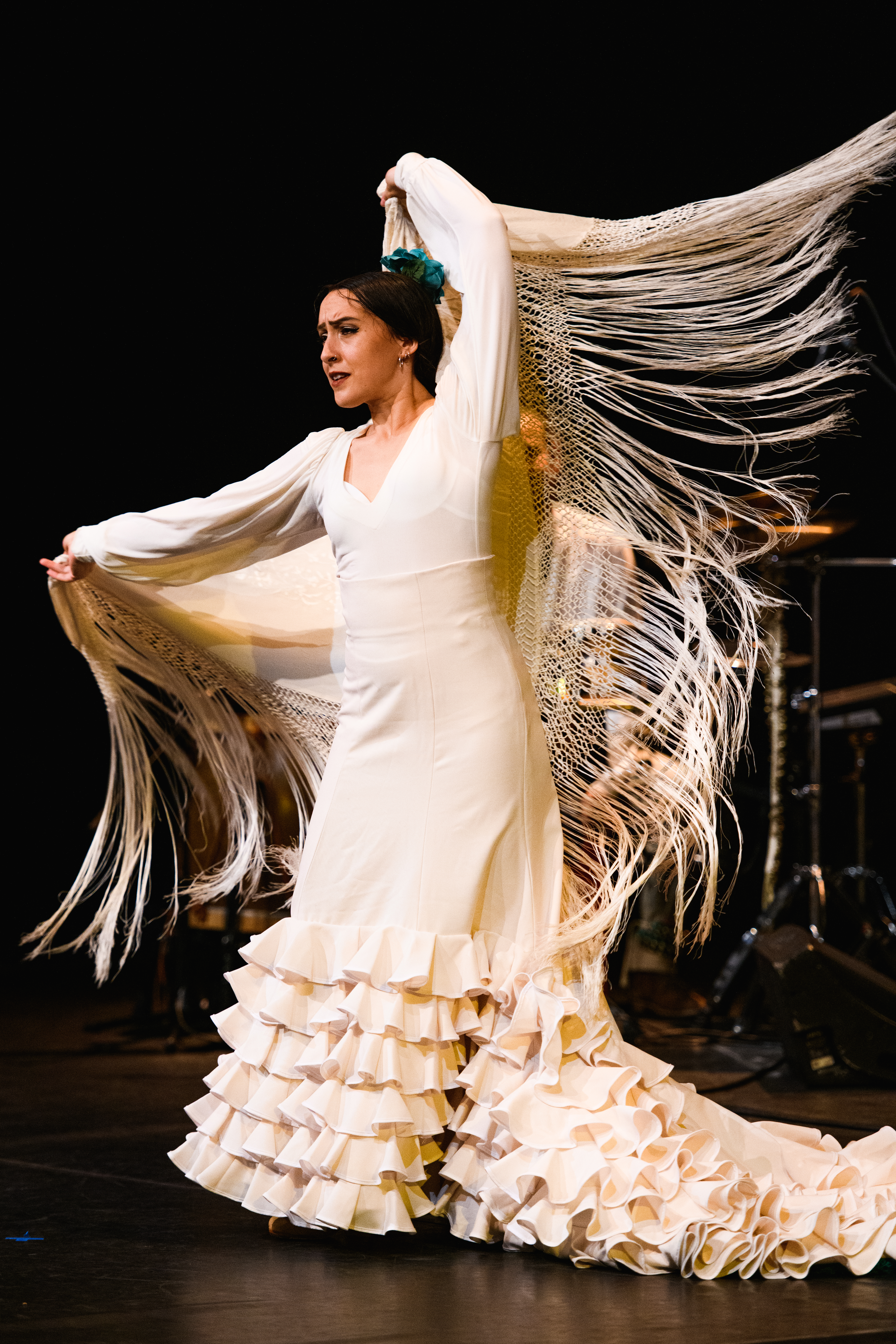 Flamenco Origenes