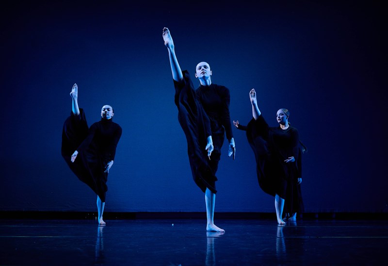 Somerset Youth Dance Company Auditions